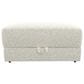 Hartsfield Jazzy Storage Ottoman in Bone, , large