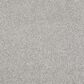 Philadelphia Always Ready II Carpet in Crystal Haze, , large
