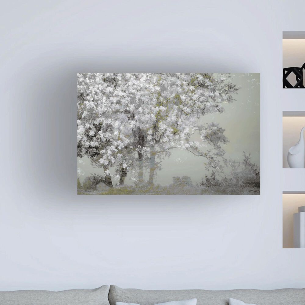 Timberlake Nel Talen "Spring" 30" x 47" Canvas Art, , large