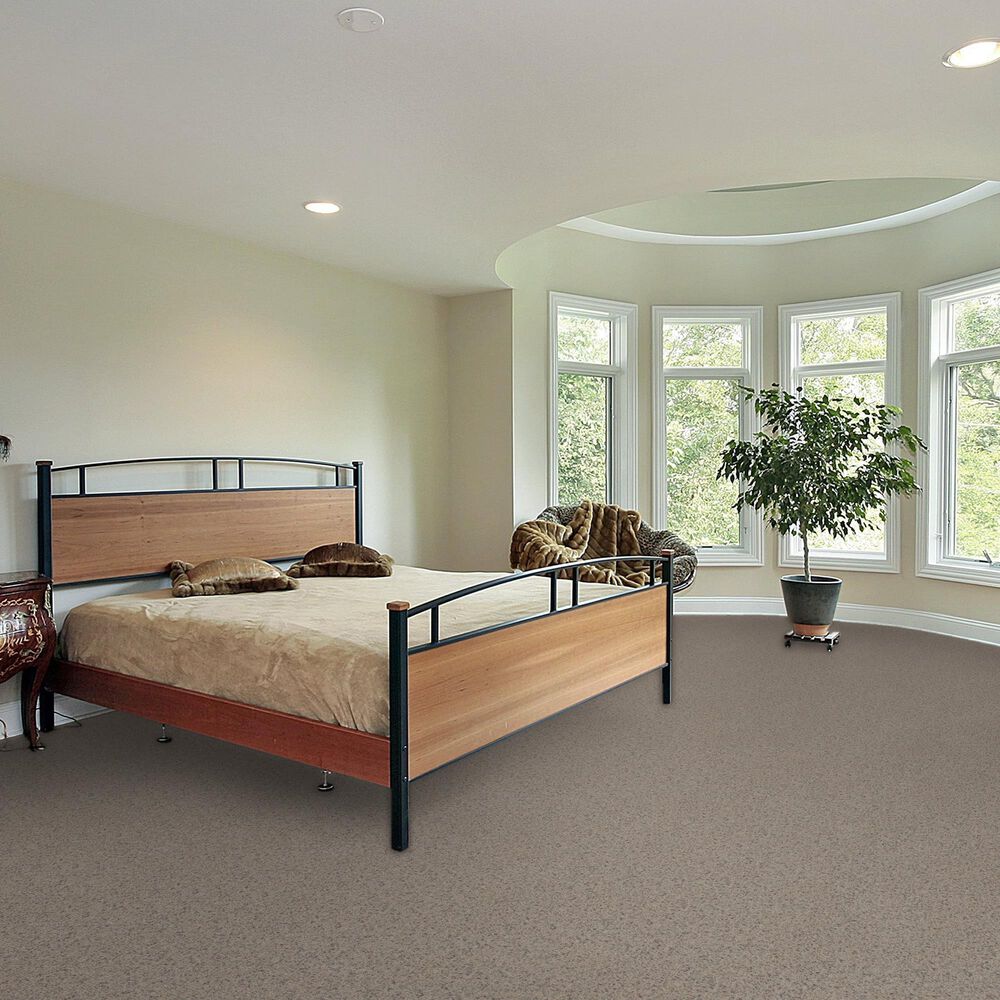 Dream Weaver Serene II Carpet in Cottondale, , large