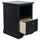 Legends Furniture Topanga 1-Drawer File Cabinet in Clove, , large