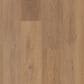 Shaw Briard Russet Oak 9" x 60" Luxury Vinyl Plank, , large