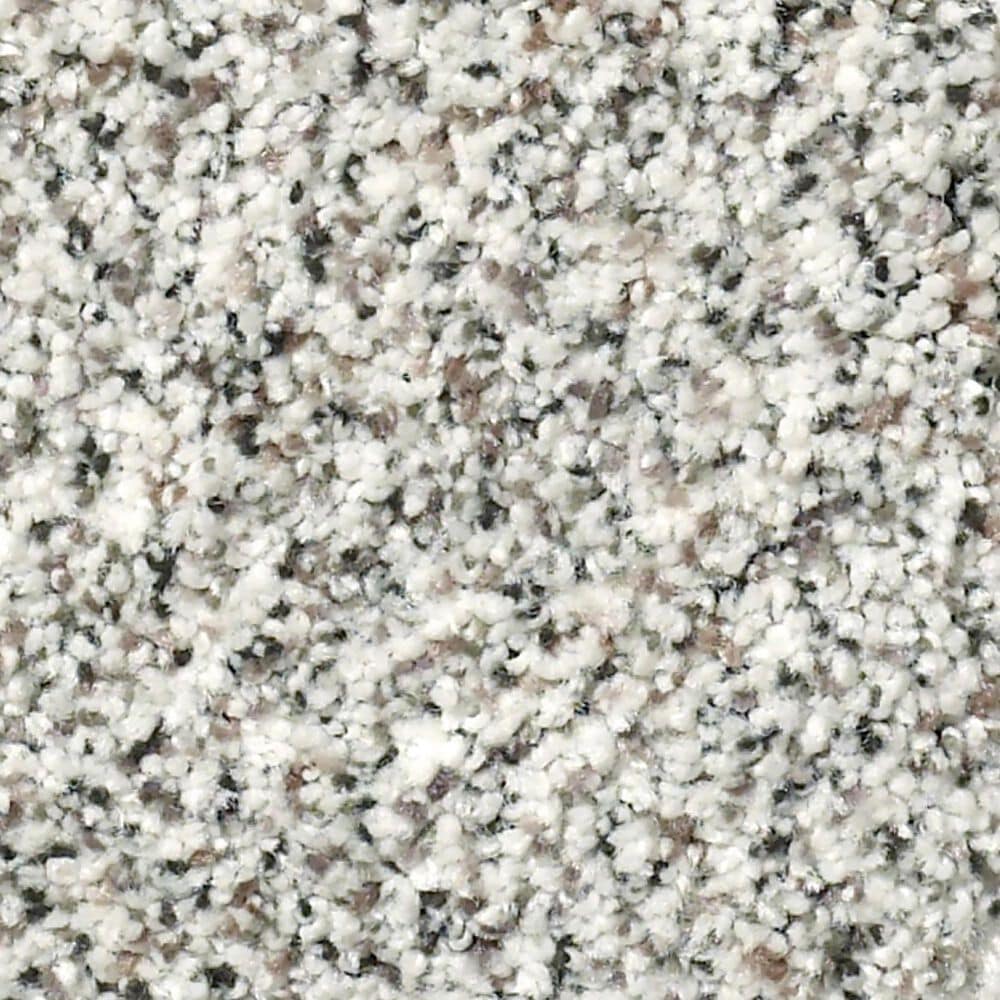 Shaw Find Your Comfort TA I Carpet in True Reality, , large