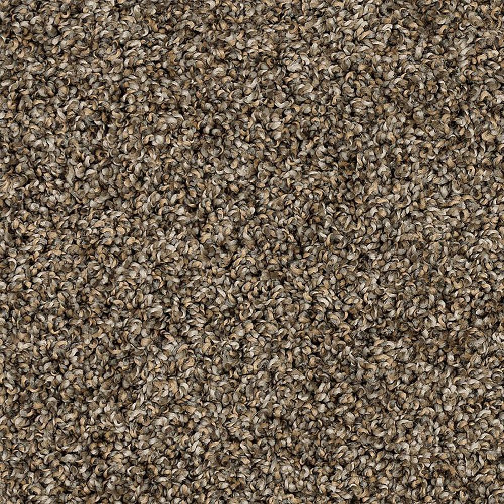 Mohawk Purrsonality III Carpet in Nightshade, , large