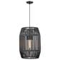 Golden Lighting Seabrooke 1-Light Outdoor Pendant in Black, , large