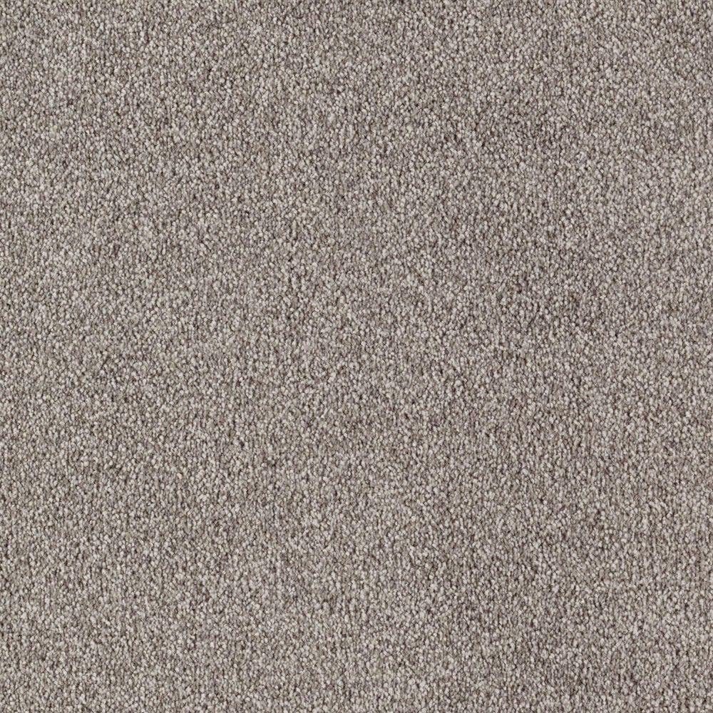 Mohawk Popular Design Carpet in Espresso, , large