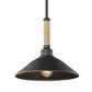 Golden Lighting Journey 1-Light Pendant in Natural Black, , large