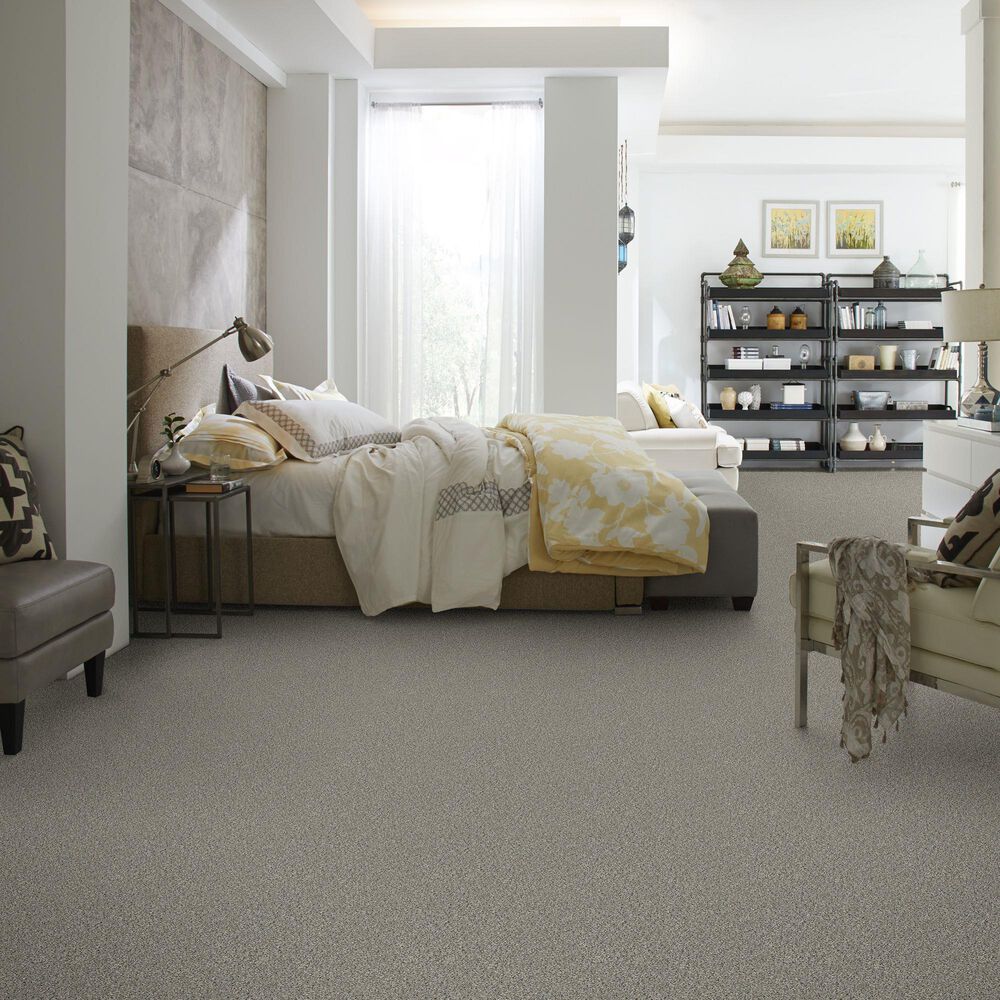 Shaw Simply the Best All Set I Carpet in Rhino, , large