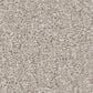 Shaw Las Cruces Carpet in Reflective, , large