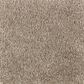 Mohawk Homefront III 2R33 Carpet in Teak, , large