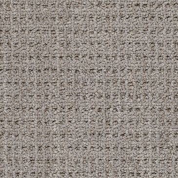 Dixie Home Country Home Carpet in Tree Swing, , large