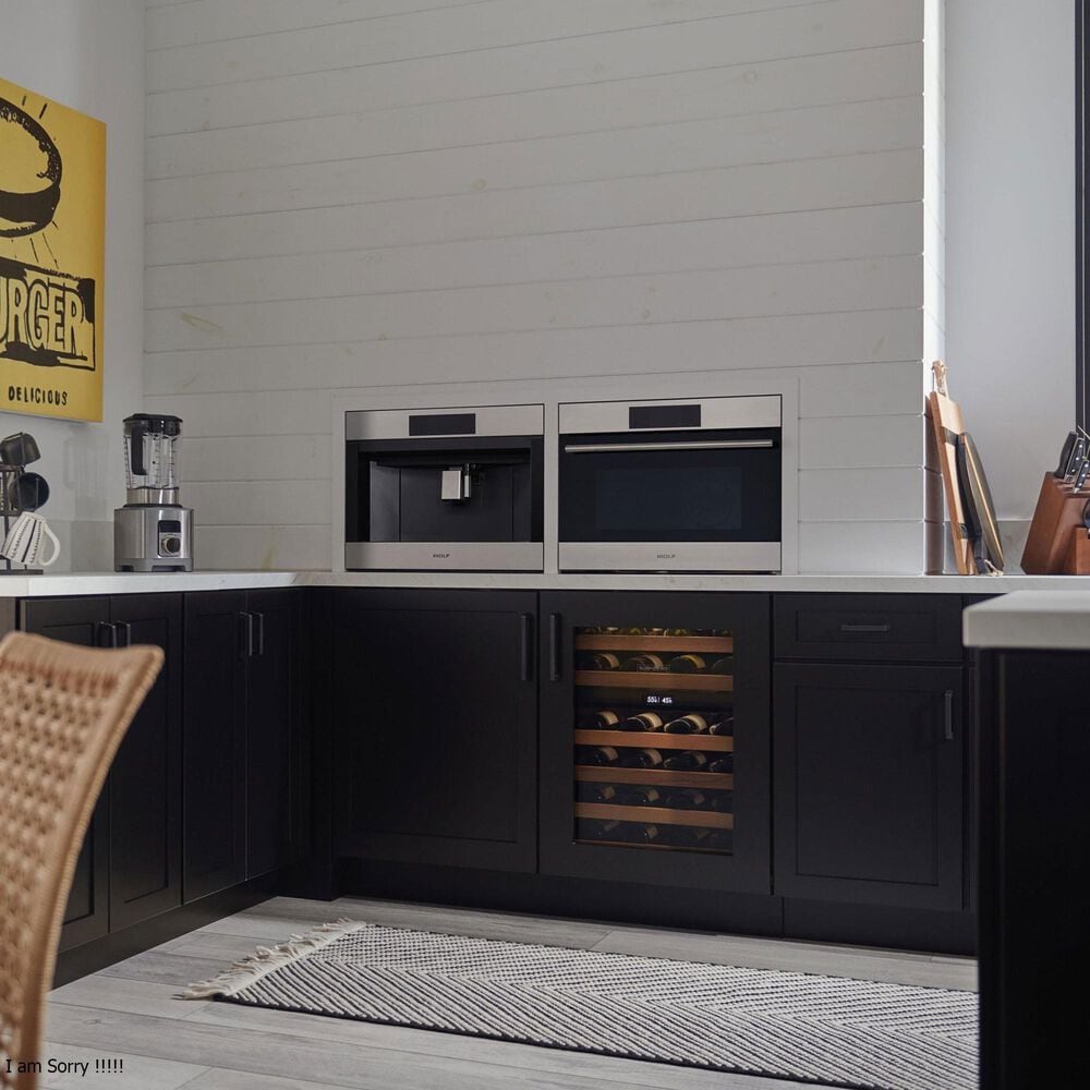 Wolf Appliances 24" E Series Transitional Drop-Down Door Microwave Oven in Stainless Steel, , large