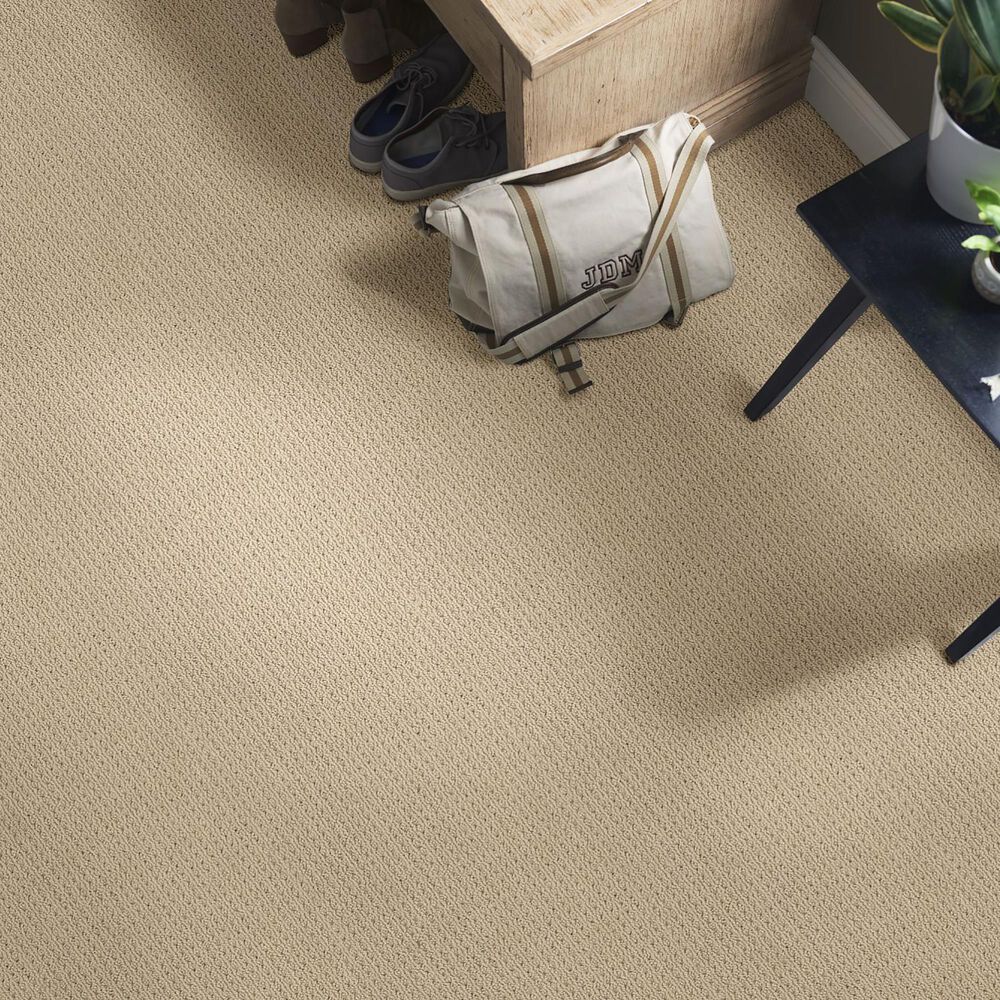 Anderson Tuftex Cabo Cove Carpet in Golden, , large
