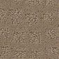Shaw West Haven Carpet in Sierra Hills, , large