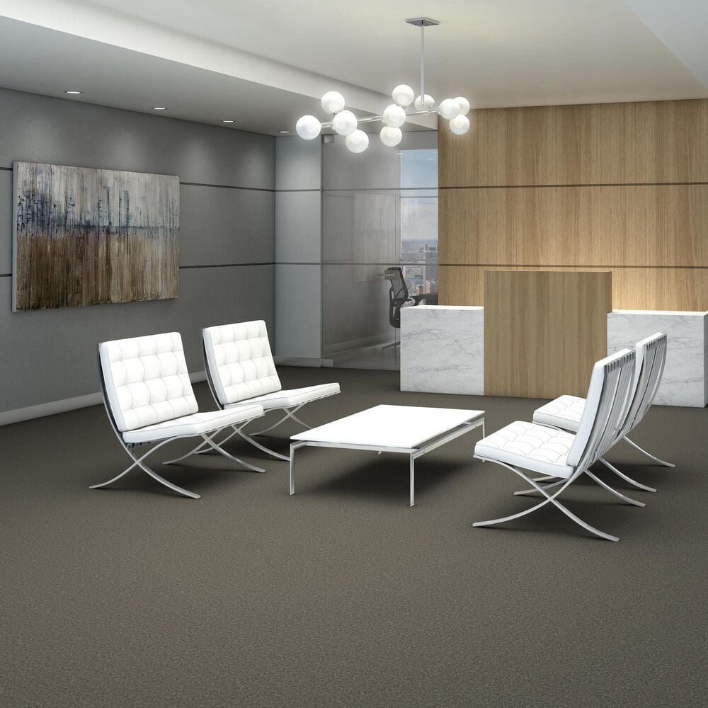 Shaw You Got This III Carpet in Rerooted Nature, , large