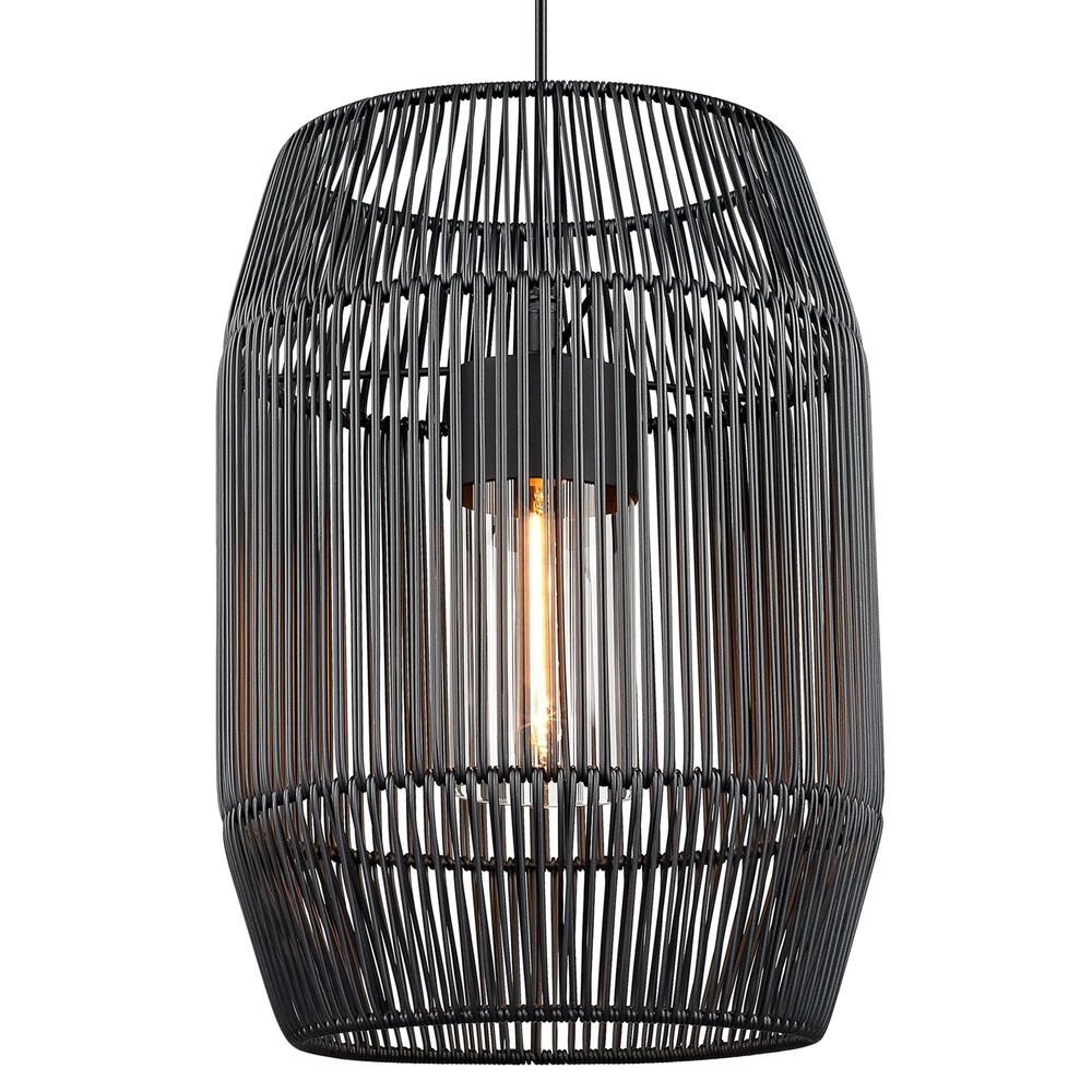 Golden Lighting Seabrooke 1-Light Outdoor Pendant in Black, , large