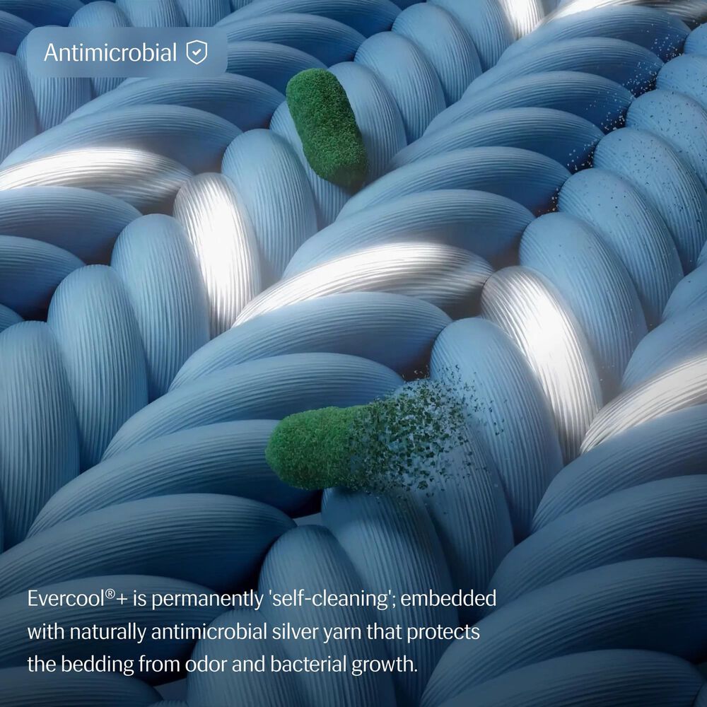 Rest Evercool Twin Sheet Set in Snow Ivory, , large