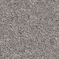 Philadelphia Champagne Taste I Carpet in Vintage, , large