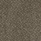 Dream Weaver Toast of The Town Carpet in Black and Tan, , large