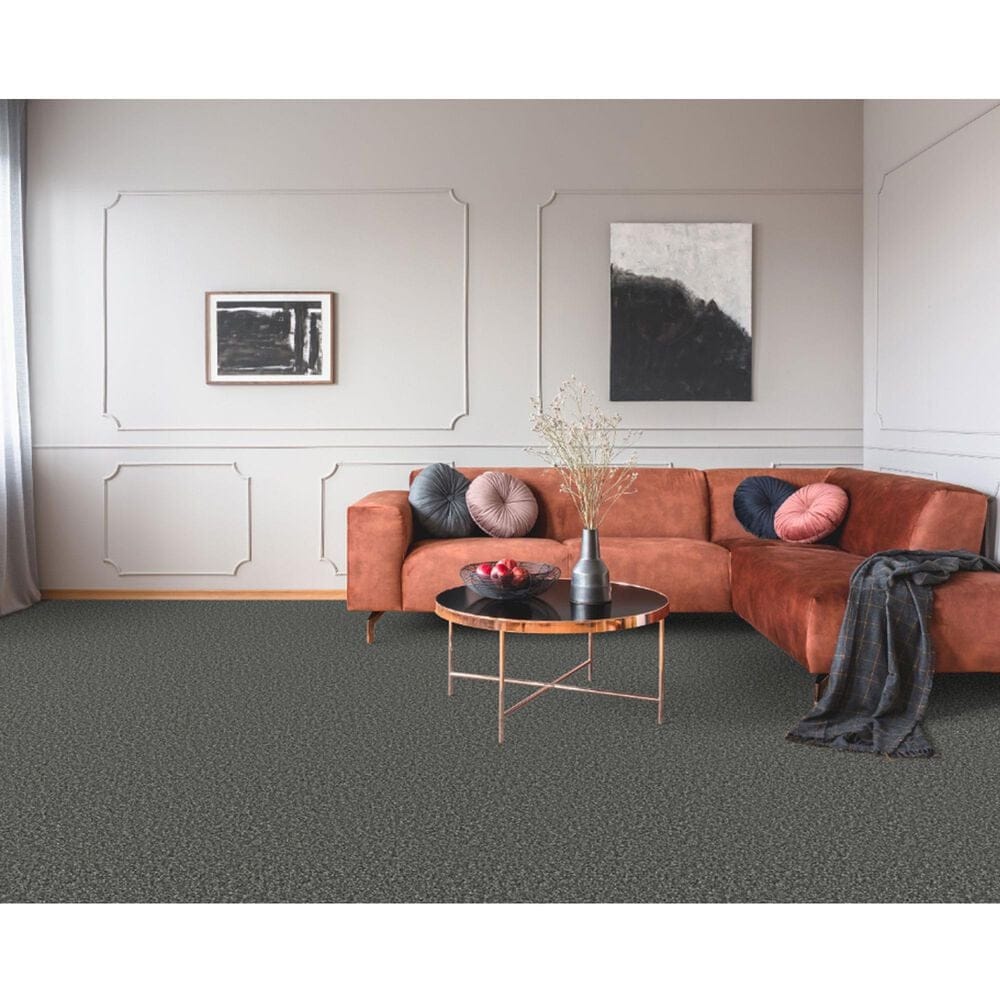Dixie Home Outlast Carpet in Onyx, , large