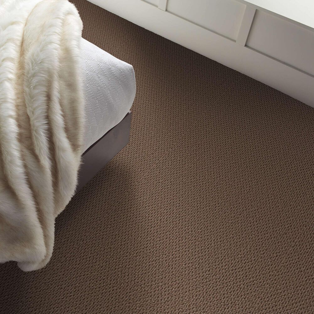 Shaw Perspective Path Carpet in Grounded, , large