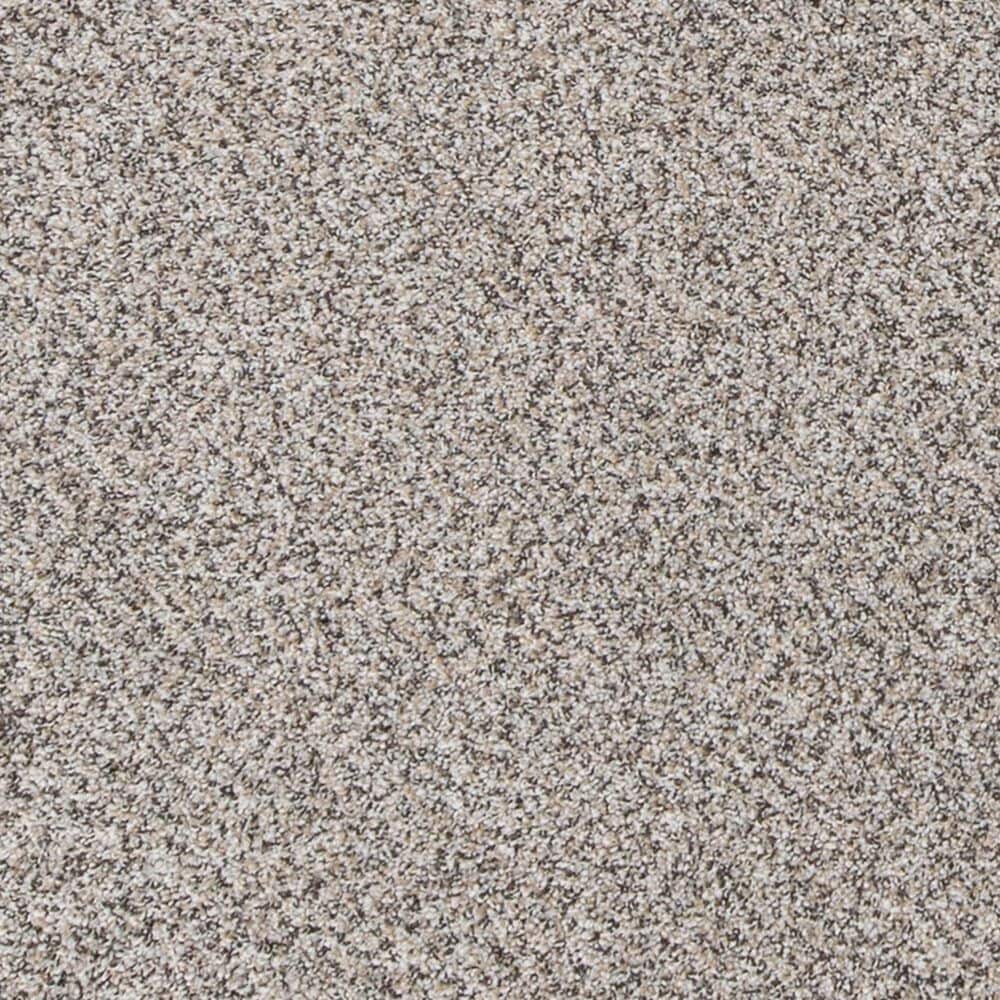 Mohawk Canine Comfort Carpet in Higway, , large