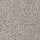 Mohawk Canine Comfort Carpet in Higway, , large