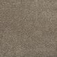 Mohawk Natural Confidence Carpet in Aberdeen, , large