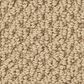 Anderson Tuftex Gracious Carpet in Plateau, , large