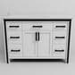 Lexora Home Ziva 48" Single Bathroom Vanity in White with 2 cm White Quartz Top and Rectangular Sink, , large