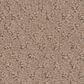 Shaw West Fork Carpet in Spanish Sand, , large