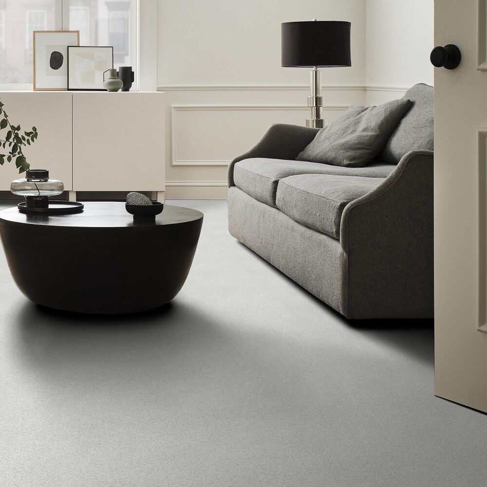 Shaw Tonal Comfort I Carpet in Whitewashed Frame, , large