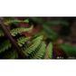 Sony FE 16mm f/1.8 G Lens, , large
