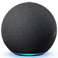 Voice Assistants