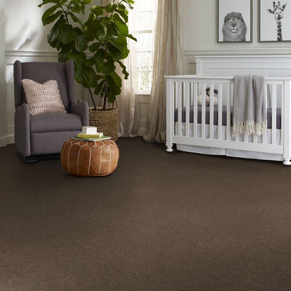 Shaw Hard At Play Iii Carpet in Mission Ridge, , large