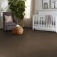 Shaw Hard At Play Iii Carpet in Mission Ridge, , large