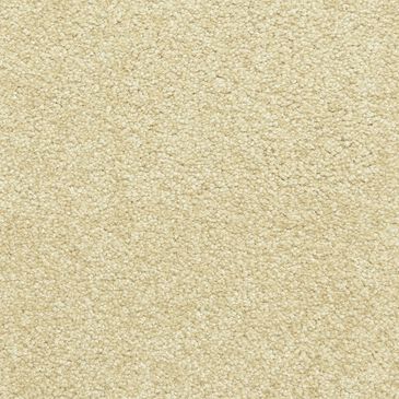 Dixie Home Simplicity Carpet in Suede, , large