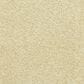 Dixie Home Simplicity Carpet in Suede, , large