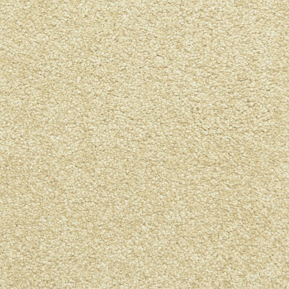 Dixie Home Simplicity Carpet in Suede, , large