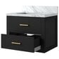 Lexora Home Castor 24" Single Bathroom Vanity in Black with White Acrylic Top and Rectangular Sink, , large