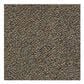 Shaw Swizzle 24" x 24" Carpet Tile in Hide N Seek, , large
