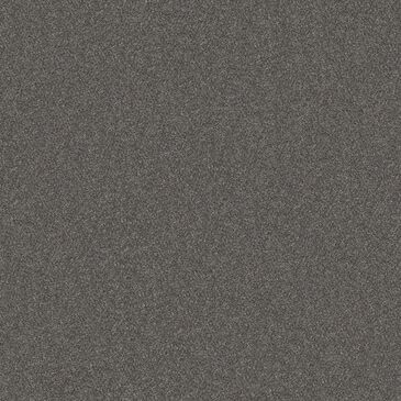 Philadelphia Without Limits II Carpet in Granite, , large