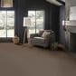 Anderson Tuftex Finery Carpet in Riverbank, , large