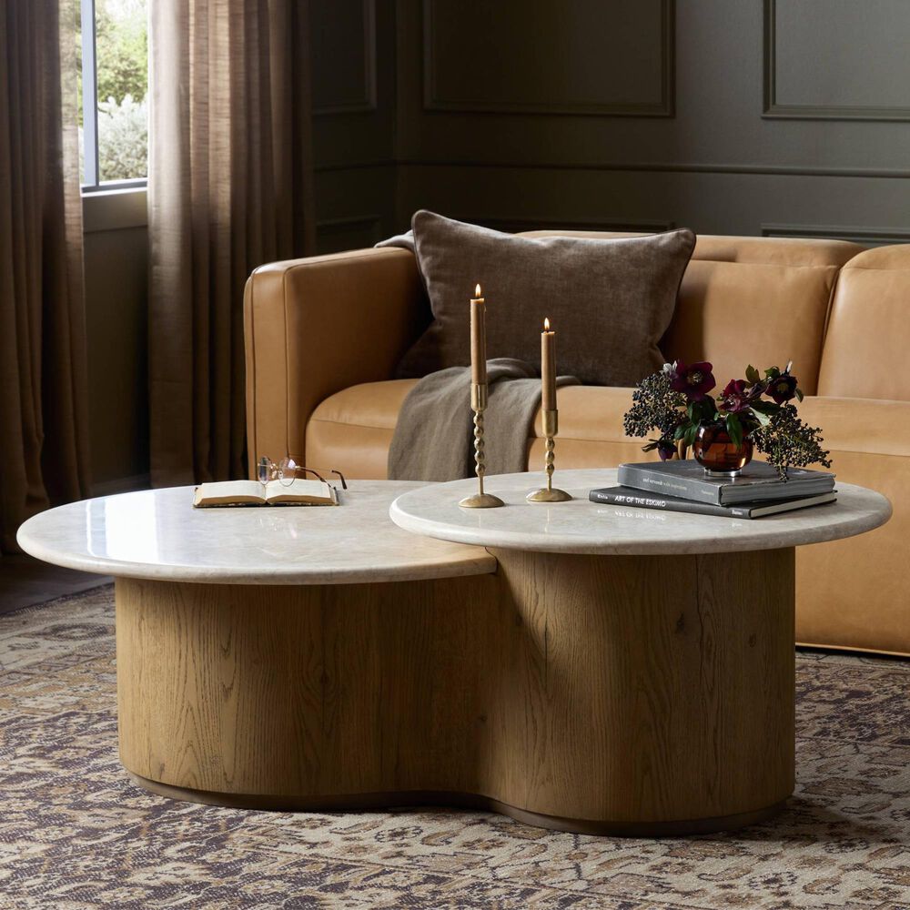 Four Hands Toro Coffee Table in Cappuccino and Rubbed Light Oak, , large