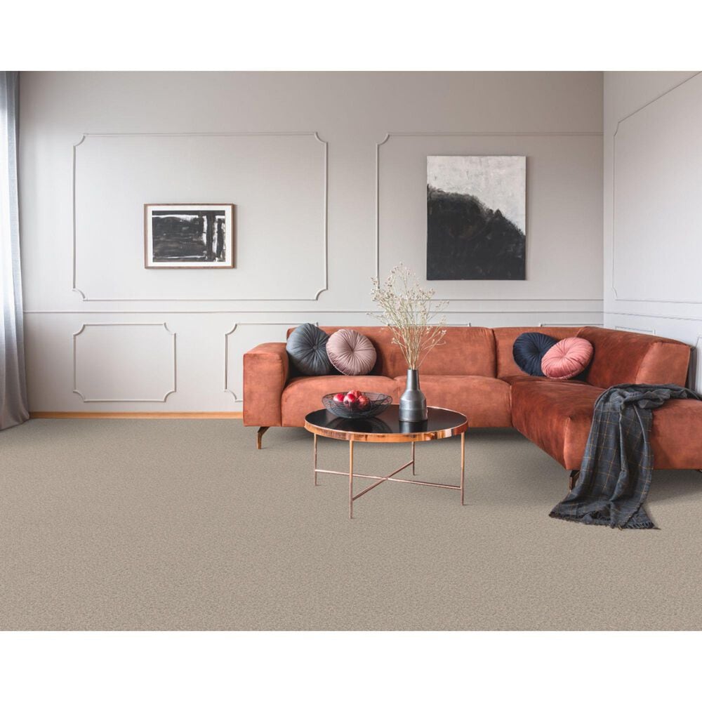 Dixie Home Simplicity Carpet in Casual, , large
