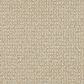 Fabrica Waterford Carpet in Garland, , large