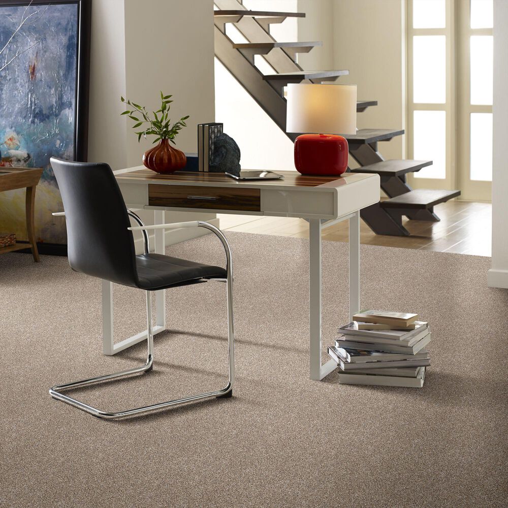 Shaw Simply the Best After It I Carpet in Neutral Ground, , large