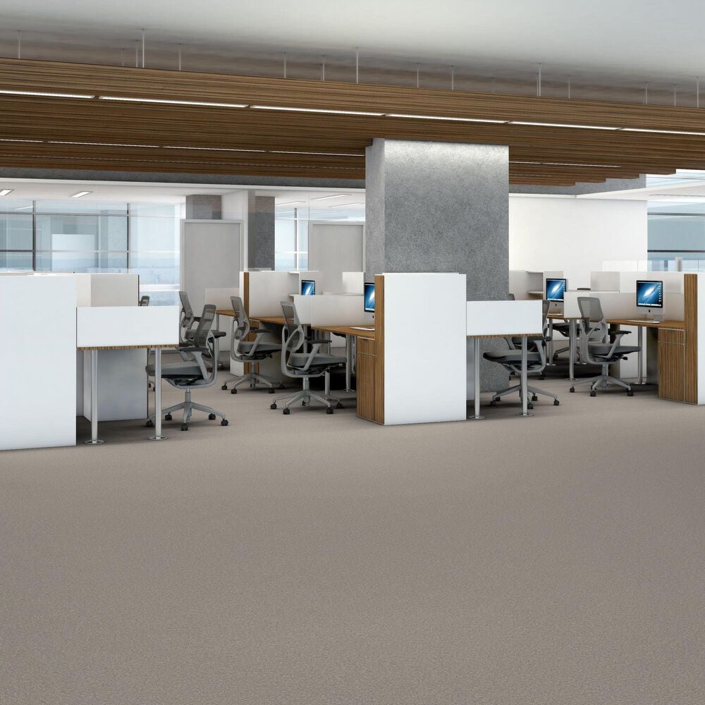 Shaw You Got This III Carpet in Sculpture, , large