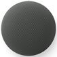 Google Home Speaker with Gemini in Hazel, , large