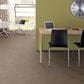 Anderson Tuftex Wanderer Carpet in Plains, , large